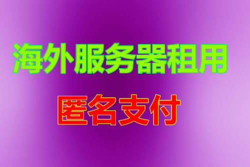 美国VPS站群服务器